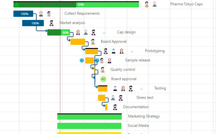 Plan activities and monitor progress