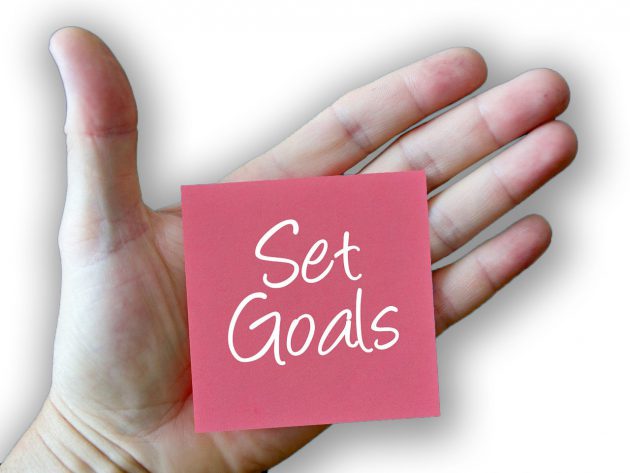 program manager goals