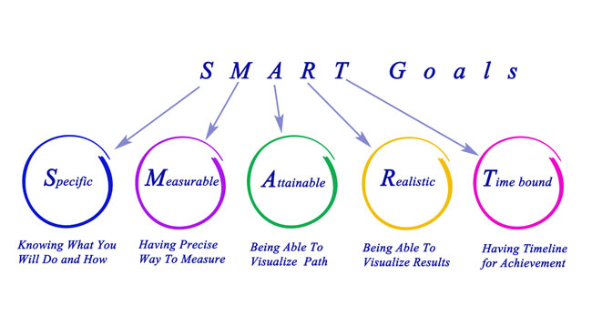 SMART project objectives, purpose of a project with Twproject