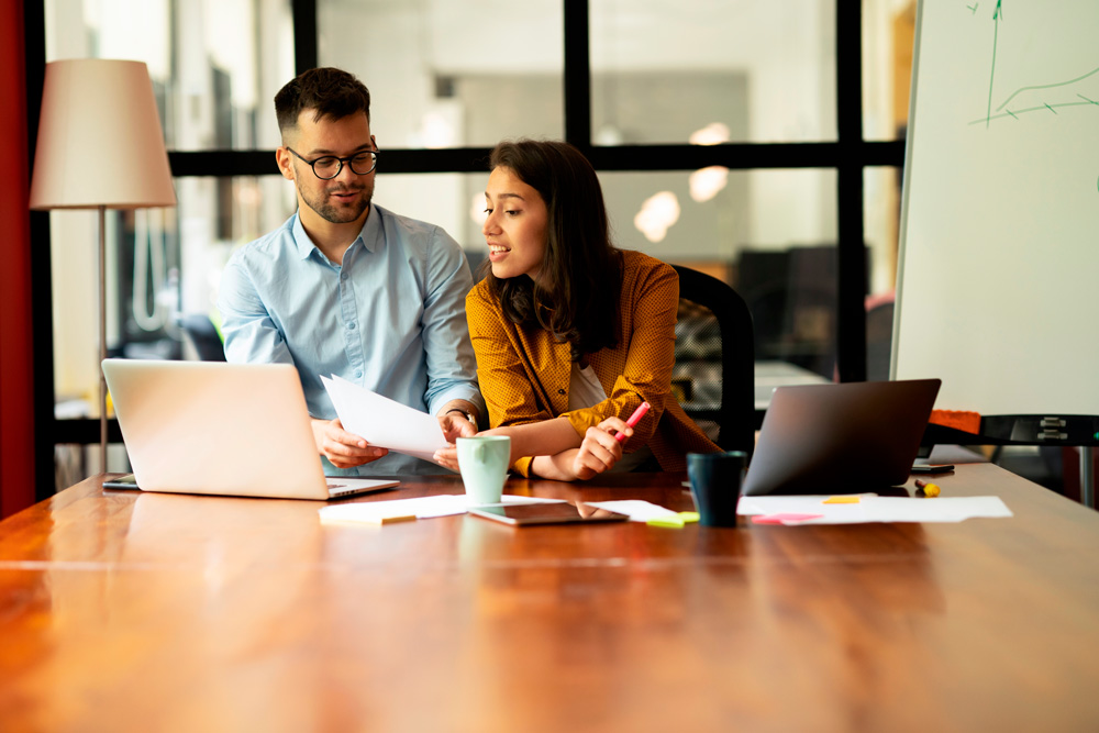 Twproject for Consulting teams