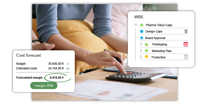 Monitor progress and costs