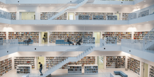 condividere le conoscenze