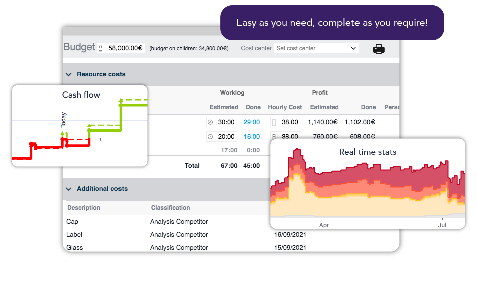 Project cost management with Twproject